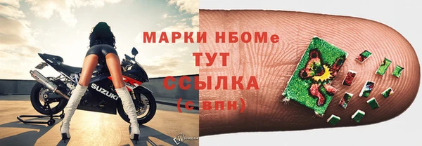СК Белокуриха