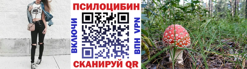 Псилоцибиновые грибы GOLDEN TEACHER  Минеральные Воды 